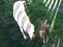 Kika a Filip